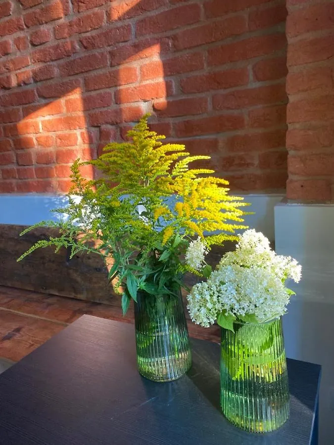 Four Rooms Carlsbad Authentic Karlovy Vary Bed & Breakfast